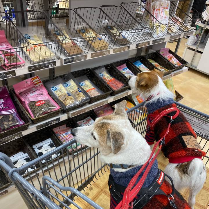 Eff8535c 9ab5 4390 8ede c45d95267f26 1640412041992