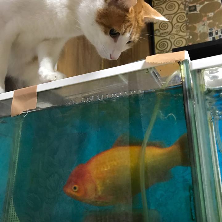 Eff892e2 f84d 4572 9f55 eadbc75dad36 1516150487803