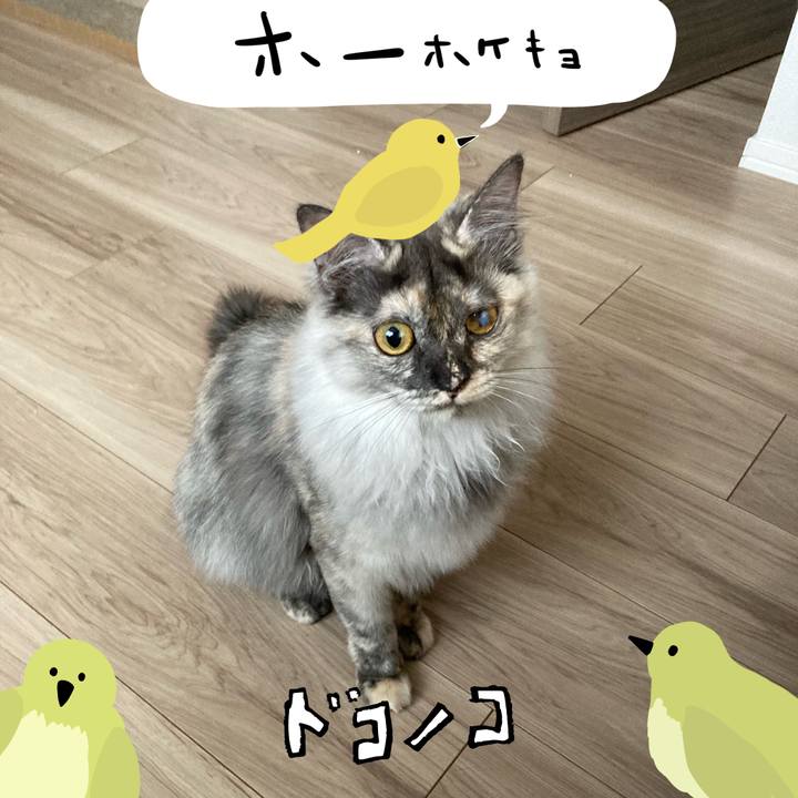 Eff89719 d755 43bc b5b7 78aae5e29f00 1711327595079