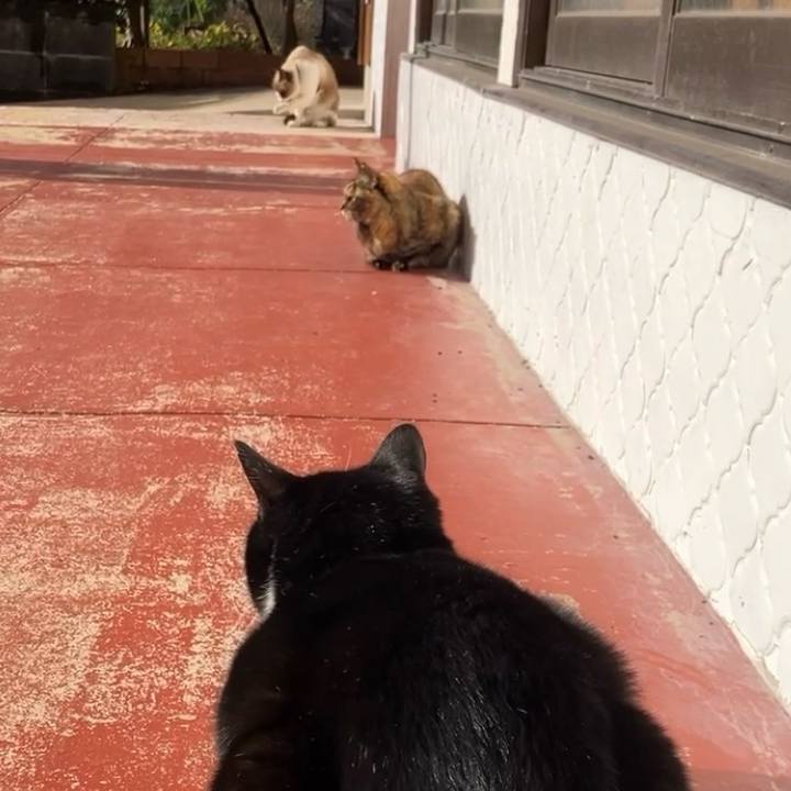 Eff8c74c 50e4 41f7 b95b e076f8ad7cd3 1738029812902