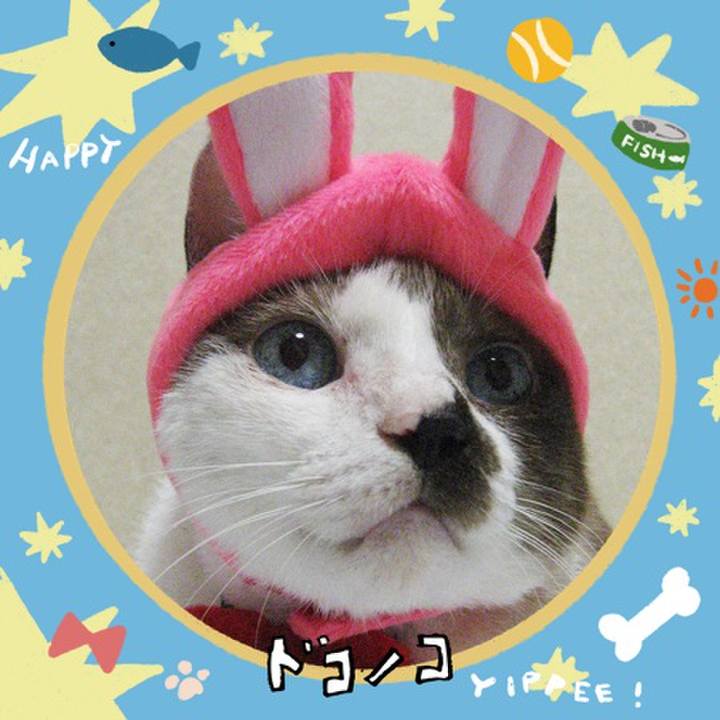 Eff8e2e7 e54f 457a a90c 94b871bb3e04 1720909952494