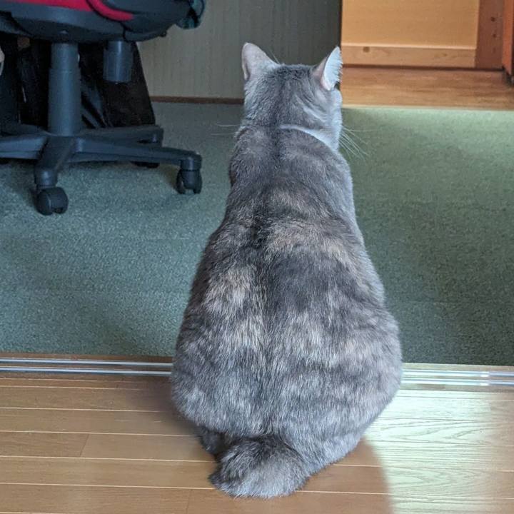 Eff95db5 3182 447c 8f62 f15bc9765307 1717408141803