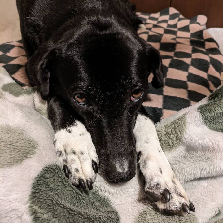 Eff97edc 8b4d 4a2f 8f47 a186df104933 1709895933804