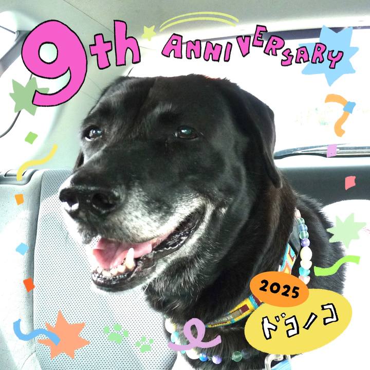 Eff9a8c7 e2cf 4103 83d9 29b719417905 1749208786630