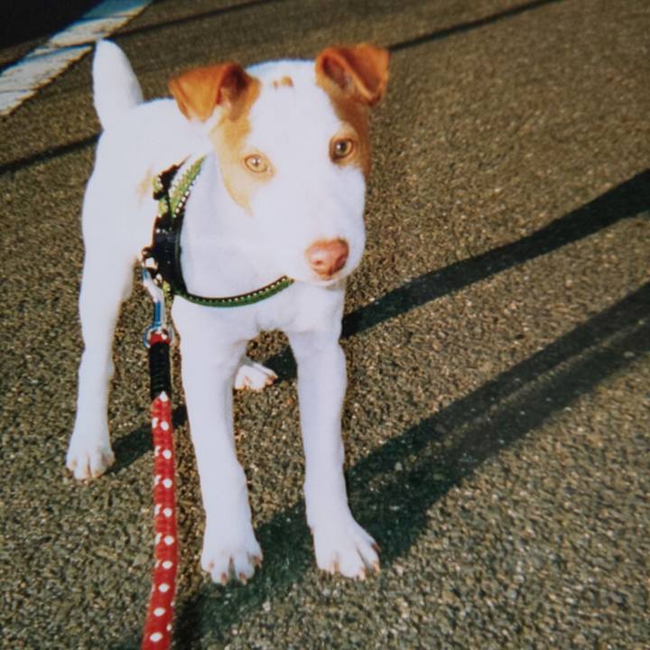 Eff9b322 a45b 4ba6 ae98 932e0f317b01 1619392829125