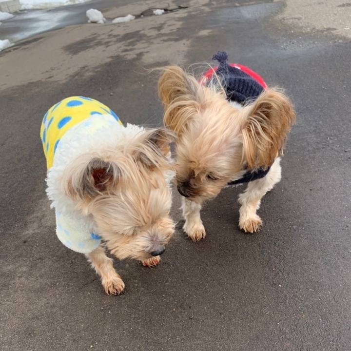 Eff9c0c0 7c8d 4f2a b1d9 618a2632cbfe 1678096549264