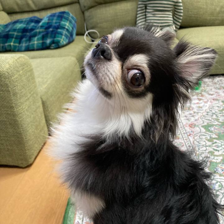 Eff9f089 1a9a 4bb7 94d5 22fef57f04dd 1661674800768