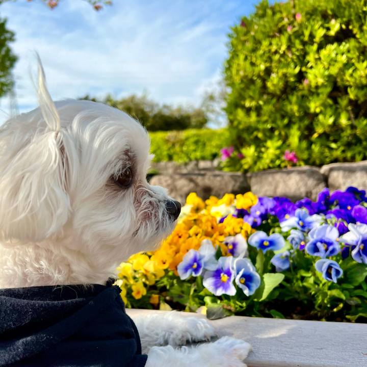 Effa3095 3649 42d3 bc81 7e690cf93080 1651208874562