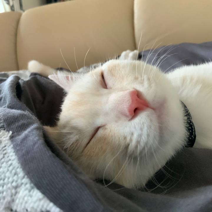 Effa4102 6817 4596 ad24 3ef11c19878e 1631197150314