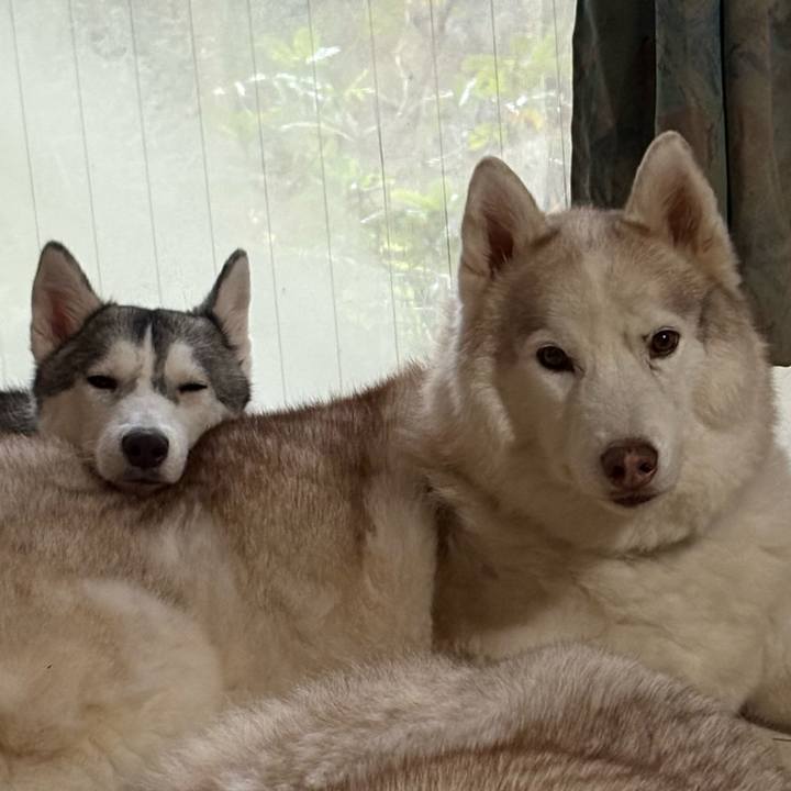 Effa631c 85aa 4684 bdaa d114aa764316 1764481116792