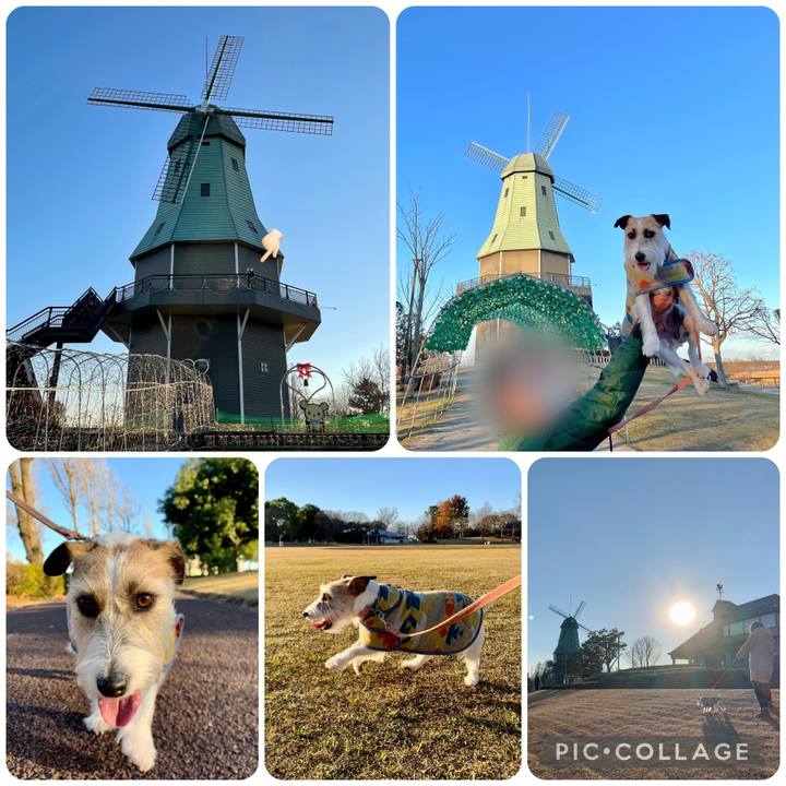 Effa66e5 e701 491f a7ad e194800642b0 1672312710790