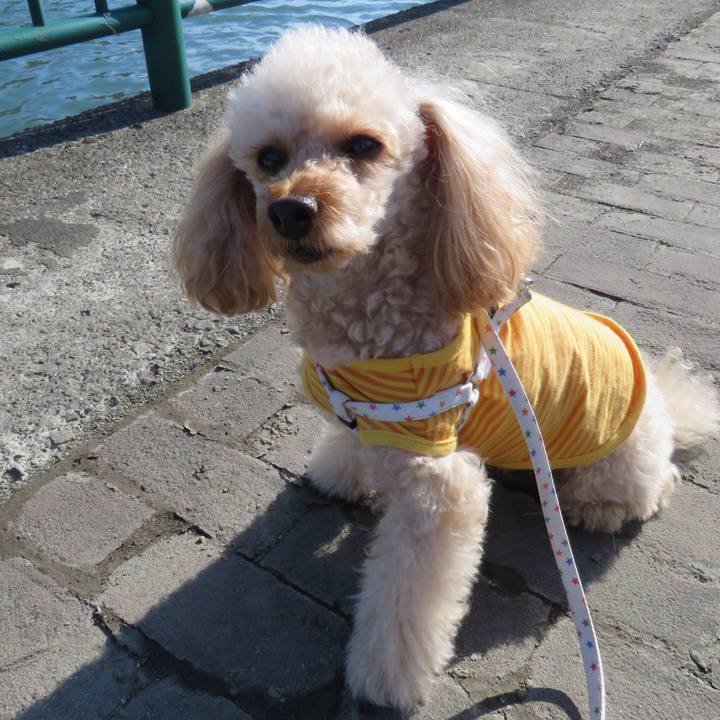 Effa6ebc 4202 45d3 a08b 47e0397143b1 1578208730598