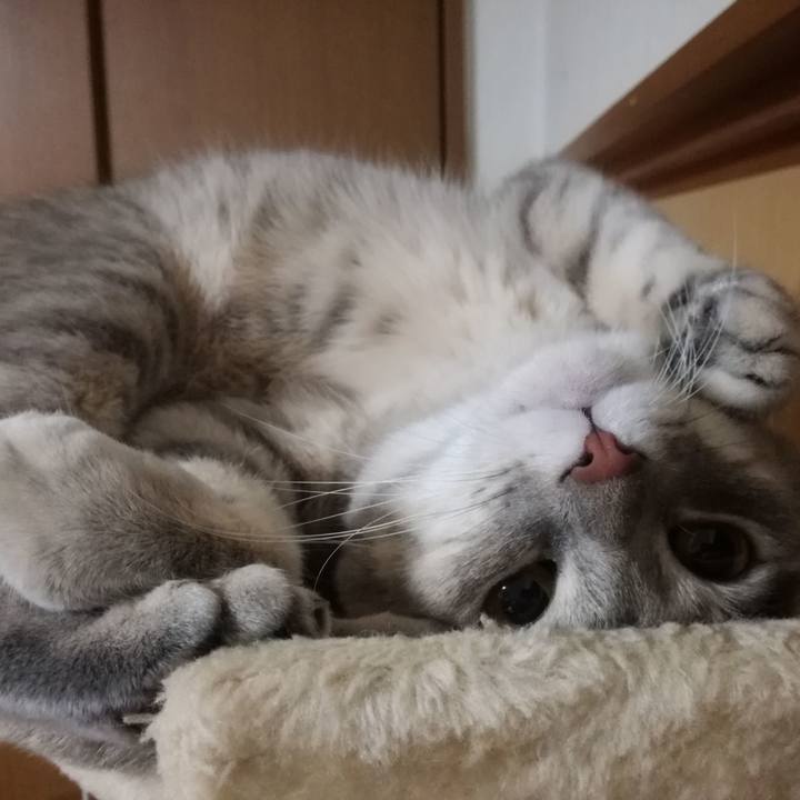 Effa8873 2142 4e29 b909 941474e3a5e4 1508719087284