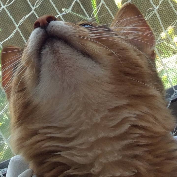 Effa9798 3b85 49c4 998c 236a2fdcf5aa 1565053873826