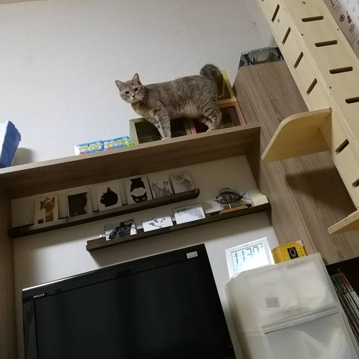 Effab364 e699 4b0b 83cf 87cf1873ca24 1542624583135