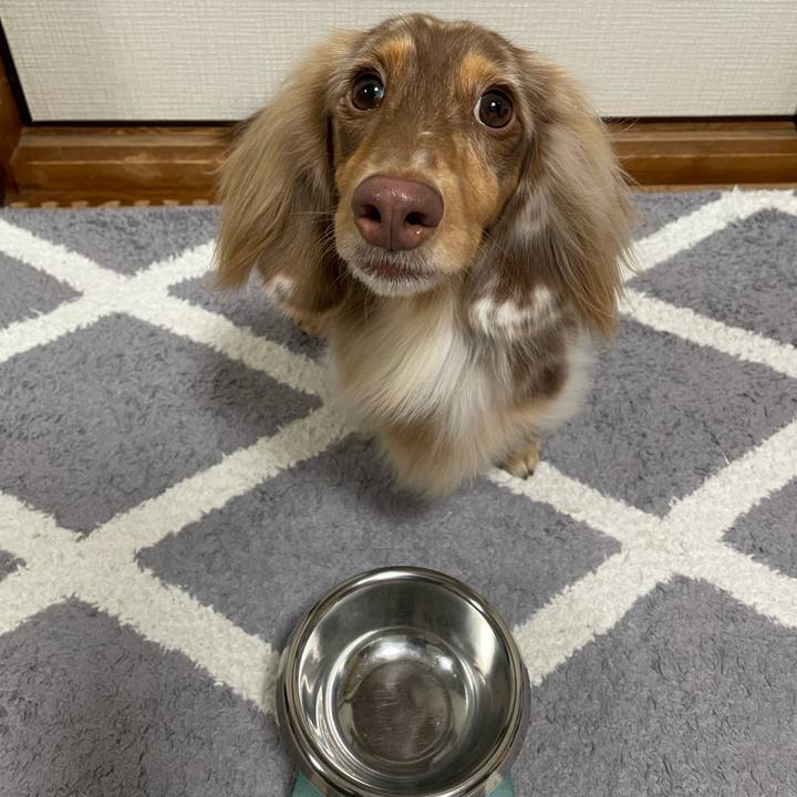 Effac620 aff0 44b5 82c8 fcd488c8e340 1763859206368