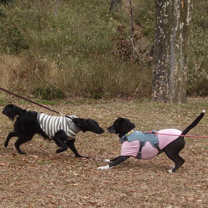 Effaef24 0a2b 4fe3 87b3 88b45d66ad7c 1706403110599