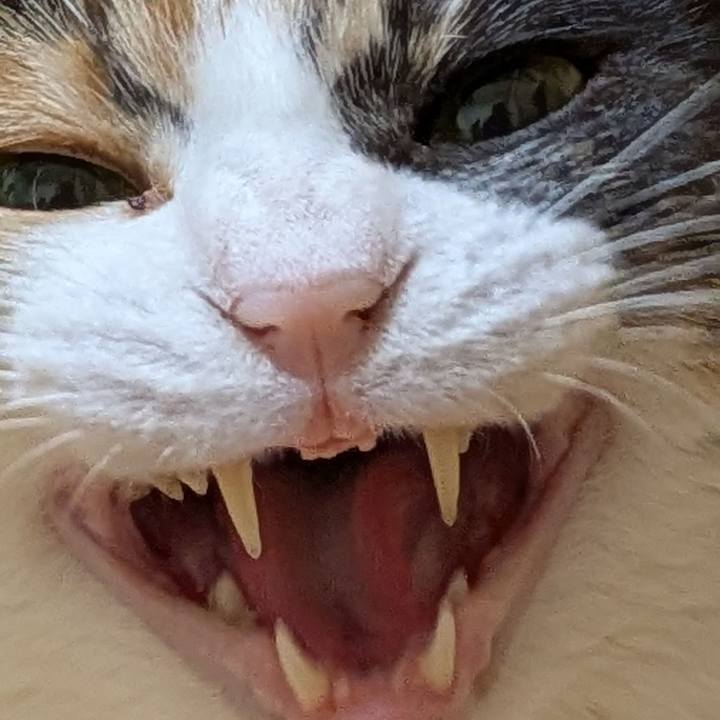 Effb6c79 eefe 4e9f ad0d b5c31eaa952b 1765164707166