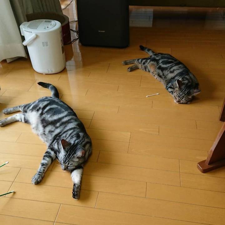 Effb7648 e621 4f4e 9be7 3470e766de6a 1548382310446