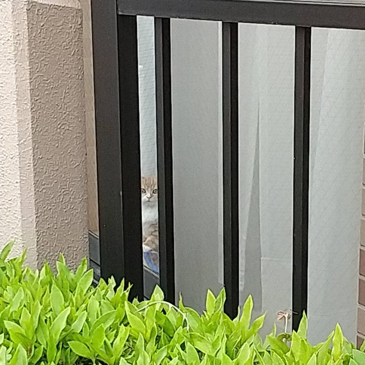 Effb9512 8b4b 4729 ad5e 5120ae69a783 1623319294824