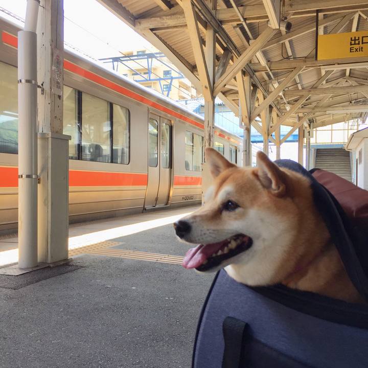 Effbc734 e3fa 465b b20b 5068ac542407 1526366628931