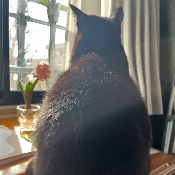 Effc27d8 6796 48b1 83ab e172d9e84e74 1771805552088