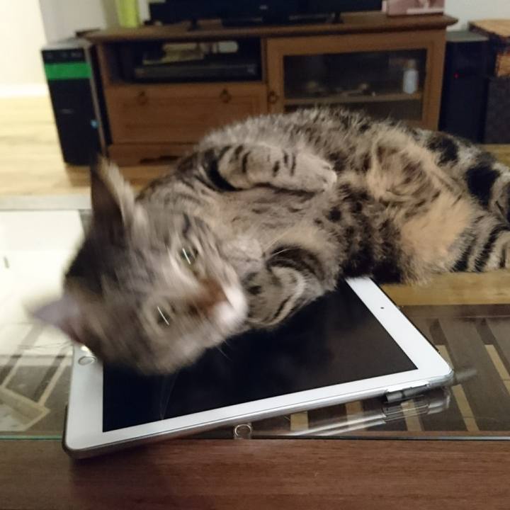 Effc50d8 12c3 42e6 b8d0 bdb6781c7139 1558700393519