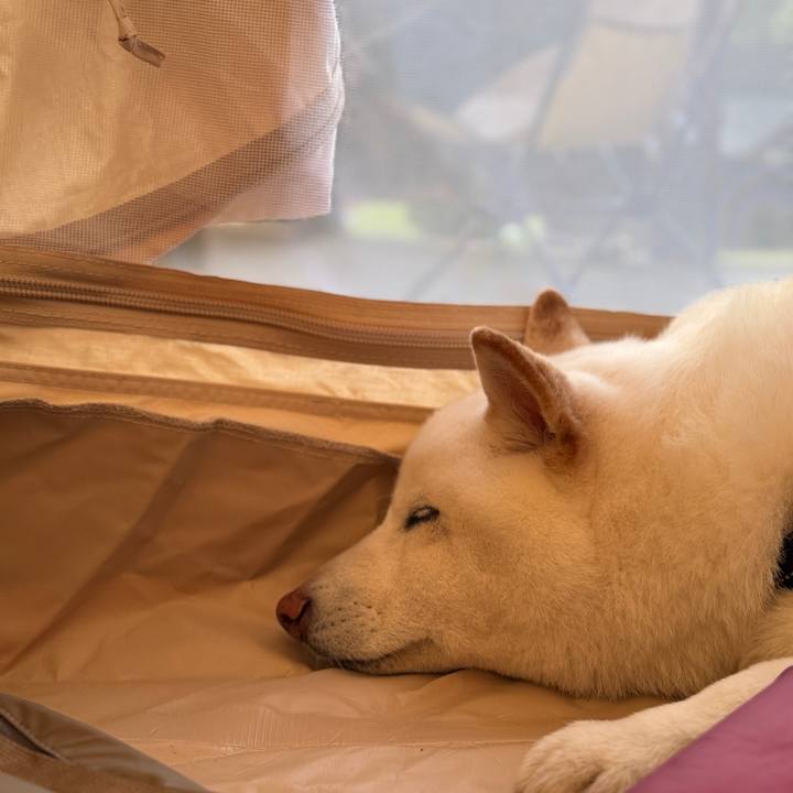 Effc6f01 38cf 4974 8581 f9c6bffc254a 1752917502036