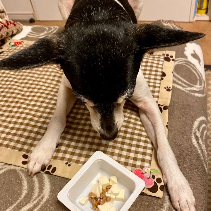 Effc7aeb 7340 4aed 809a 9ccb1de5a0eb 1582987496616