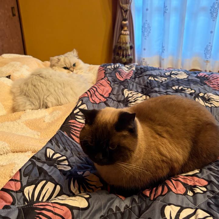 Effcc866 6143 4e26 9807 60a7a55c09e0 1767856912810