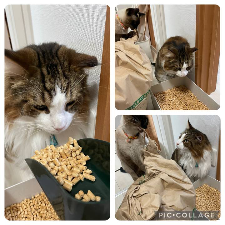 Effcd616 66af 49cd a526 9e55eeb83105 1722068572924