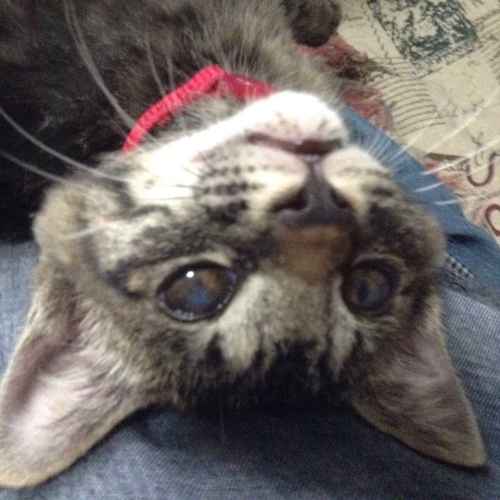 Effd5d90 ca57 411d 9bf3 ad639ff5569c 1529544348157