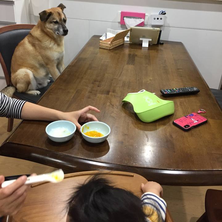 Effd6e76 1262 46fb 87ed ad09de6aa386 1544357661588