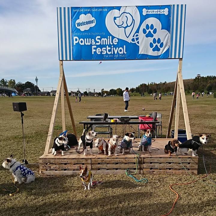 Effd6f8a c617 486f 9670 1867dc9c5351 1573997641569