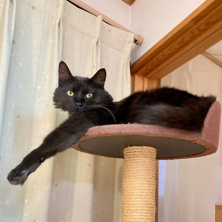 Effd7f7d 3a2e 46fe 9dff 9c317c508a37 1726561989904