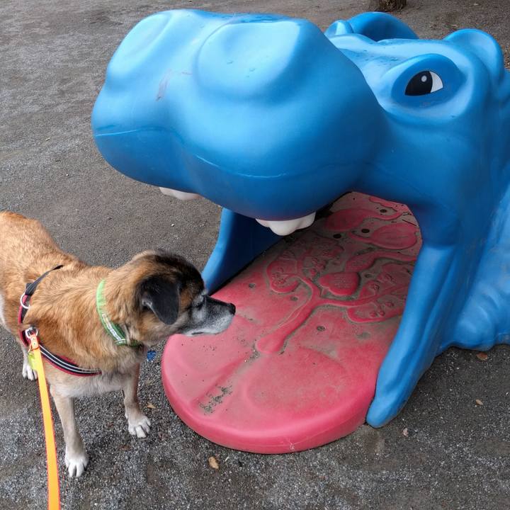 Effd8200 1d93 4b6a aa0b 8593a5420f7b 1535498674391