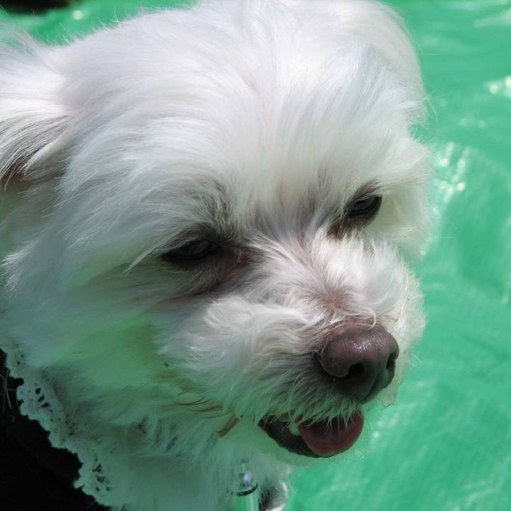 Effd8411 6b6e 4863 b129 fc6149ff1a15 1561170691474