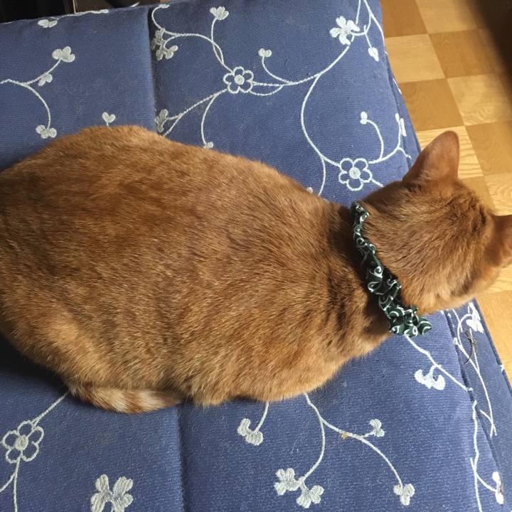 Effdb2d1 4df3 41df 8f91 e044fdd9028e 1552309281566