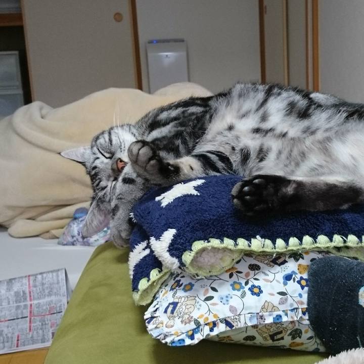 Effde6b0 1928 41c6 aa10 43479236be76 1512441364565