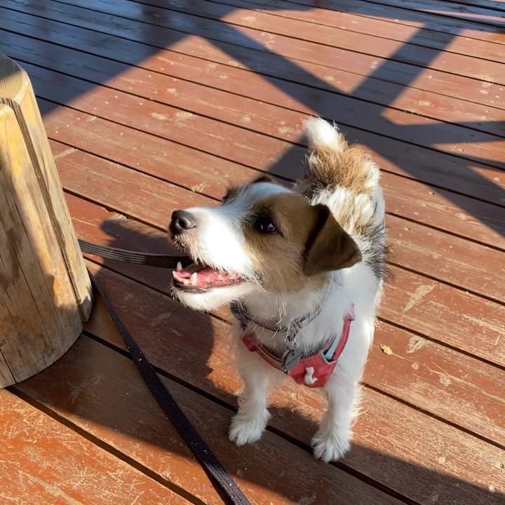 Effdf3fc 124e 43c1 a0d9 9462f437574d 1700373873384