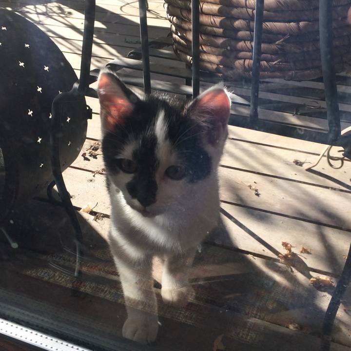 Effe0217 1376 47b0 a1a4 1123c2257e2f 1544638185451