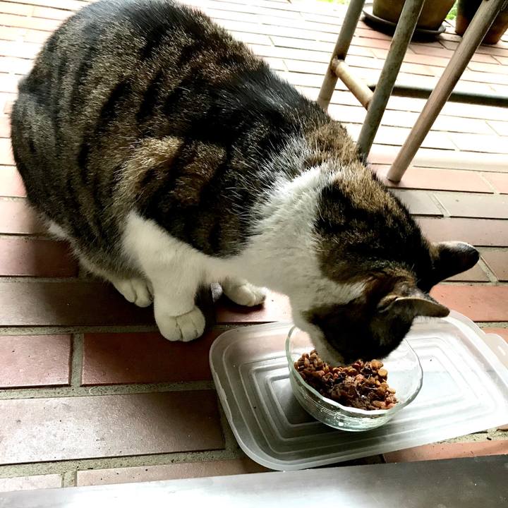 Effe5b16 f74b 41ec aae6 d4b3cd9b3260 1512019116818