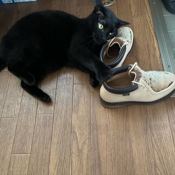 Effe75a1 119c 4cfe 9a6a 8d088ec7d758 1675079894727