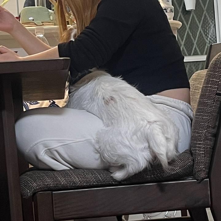 Effecda6 31c0 4d75 89a0 d79b265da036 1767138979308