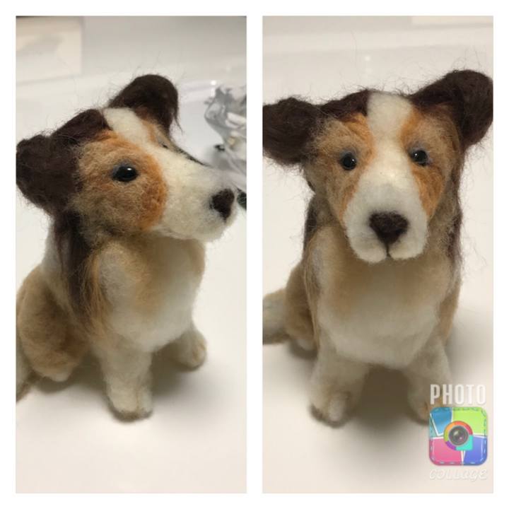 Effee164 1e06 4745 94be e616b388a3a4 1517231034682