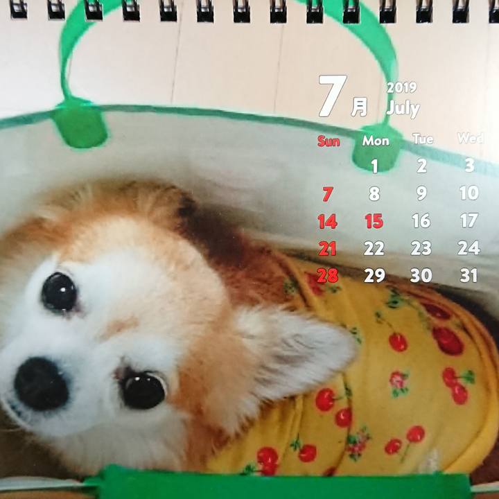 Efff2dc6 ccc2 4efe 94d3 9258e5f7b825 1561973277004