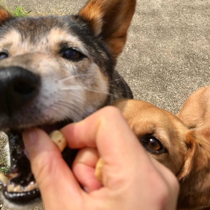 Efff8481 f5e1 46d3 9299 82df0a0ab987 1528333188106