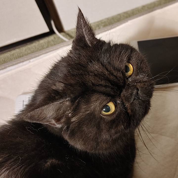 Efffb2b0 9694 4625 adb2 46a3a5290aaa 1695379380667