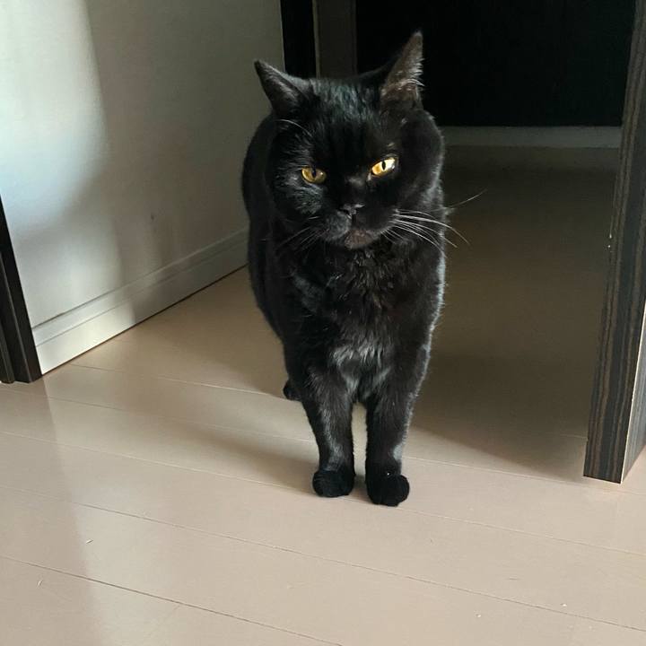 Efffc0f9 f2a6 4d75 afae 7fa73529e455 1714641193516