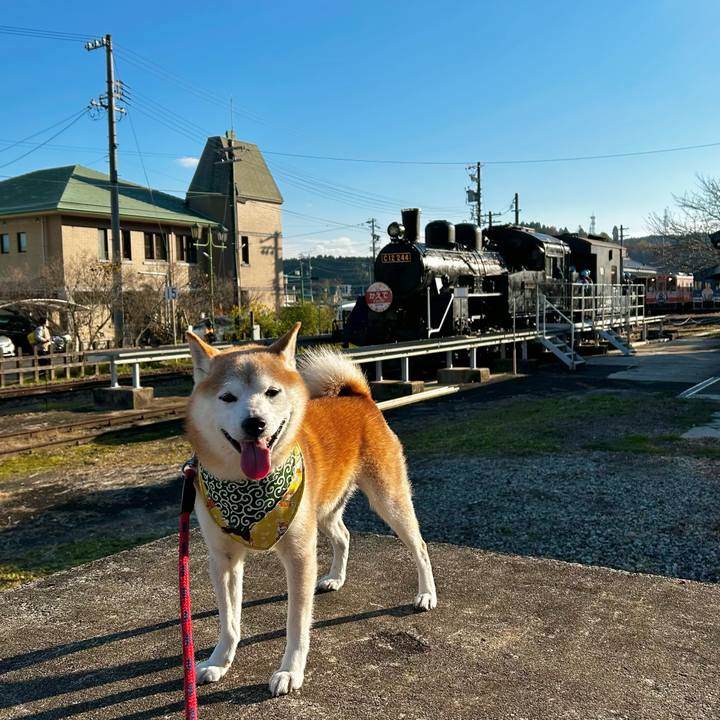 Efffff39 c9b0 4903 b66c 667cd77e8f91 1763291444942